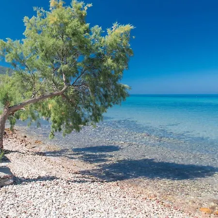 Poli's House Skála Kallirákhis